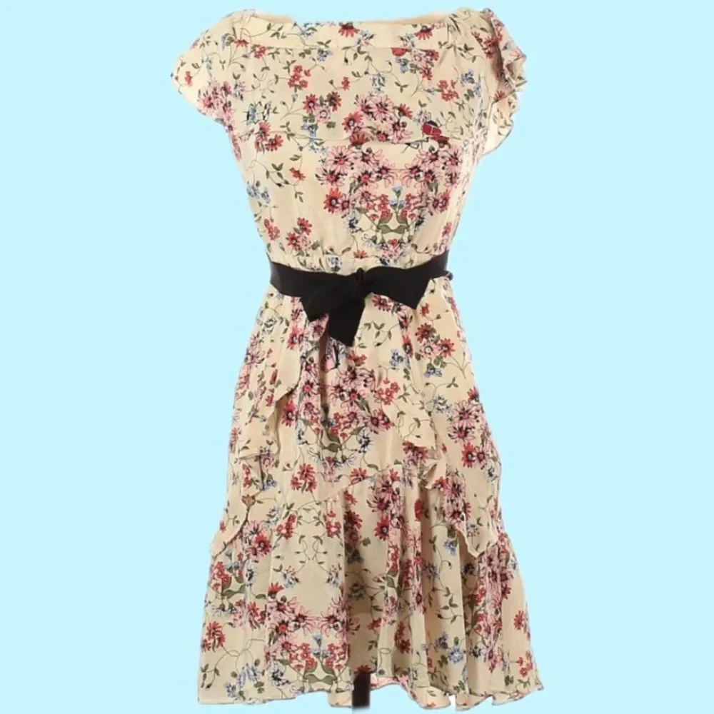 Maje | Modern Cottagecore | Lined |Silk | Butterfly Ladybug Ruffled Floral Dress - Picture 2 of 13
